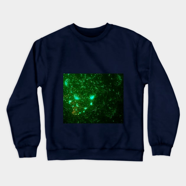 Abstract   fractal Crewneck Sweatshirt by Tanyalovus